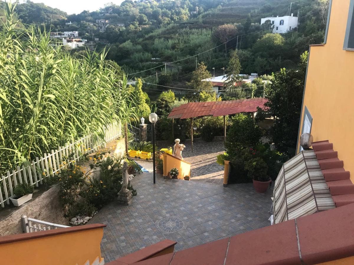 Casa de Férias Mario's House Ísquia