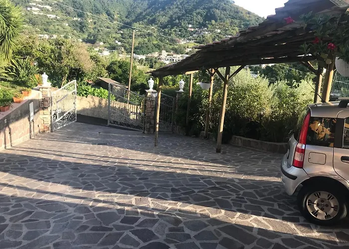 Mario\'S House