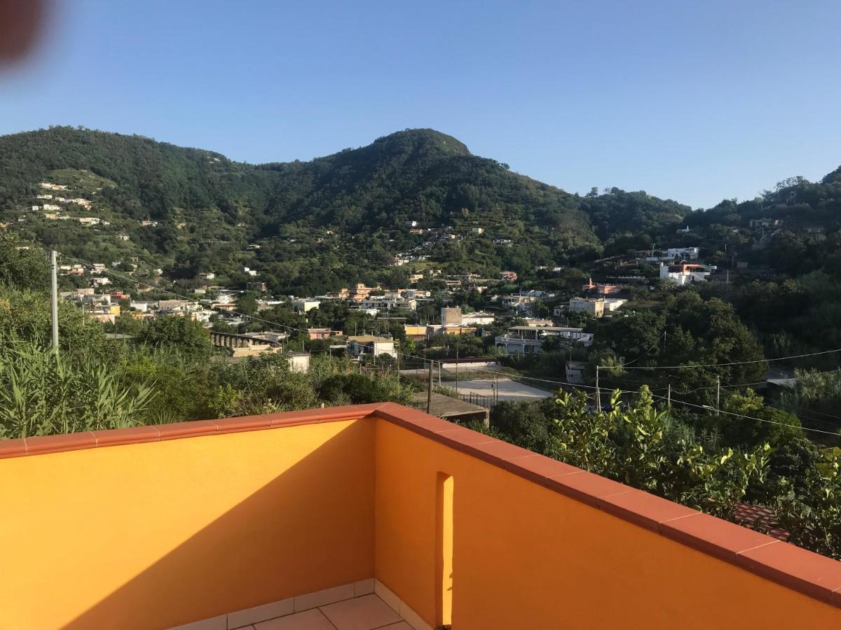 Mario's House Ischia